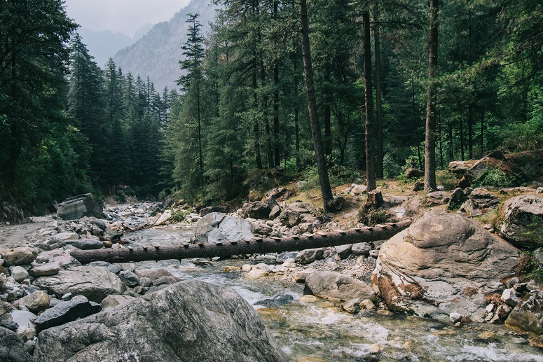 Foothills of the Himalayas